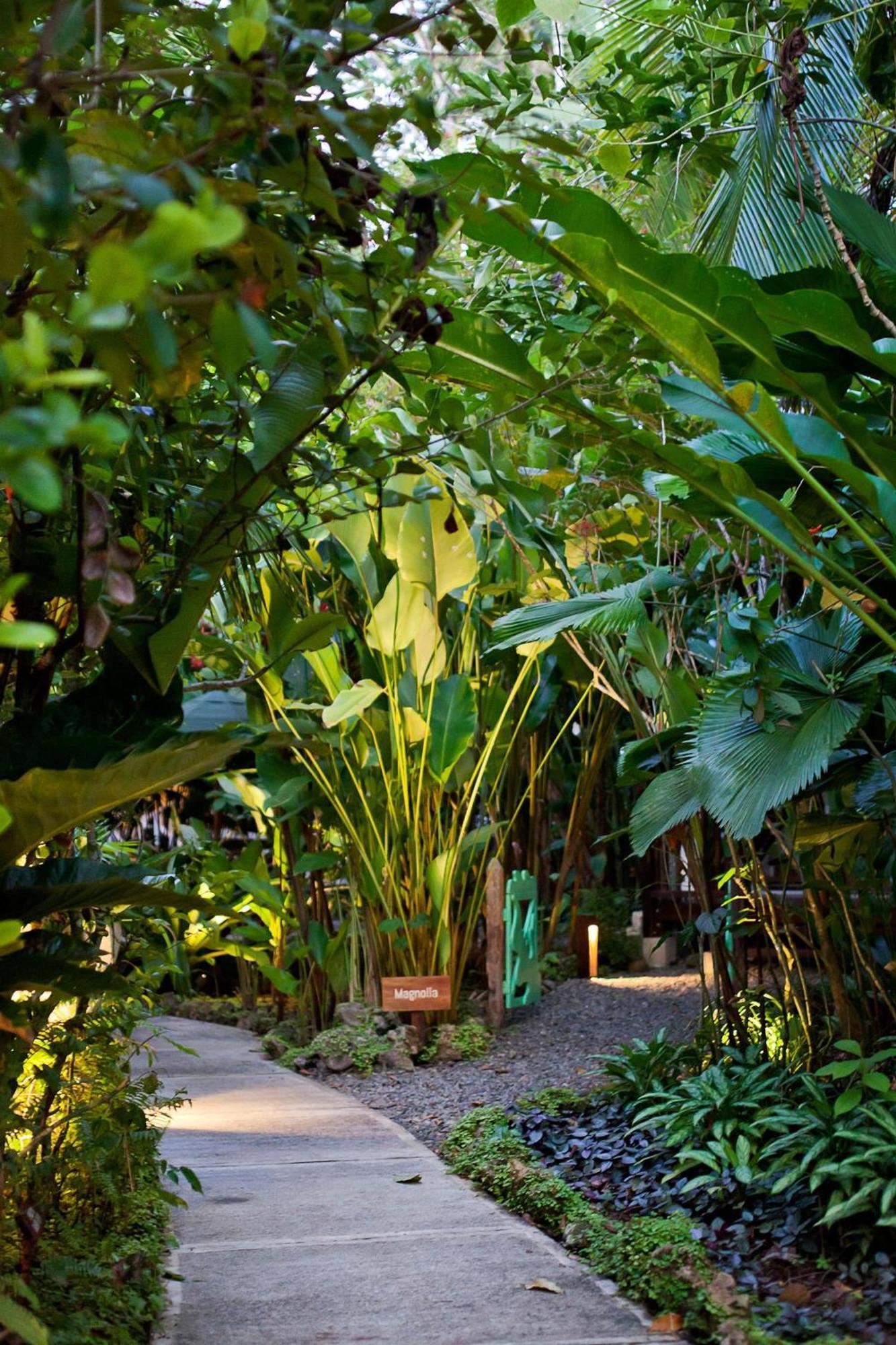 Hotel Aguas Claras Member Of The Cayuga Collection Puerto Viejo de Talamanca Luaran gambar